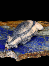 Picasso Marble Badger Zuni Fetish - PuebloDirect.com