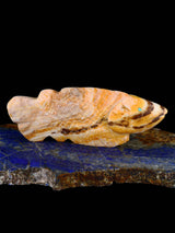 Onyx Fish Zuni Fetish - PuebloDirect.com