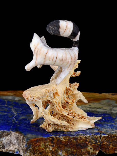 Antler Raccoon Family Zuni Fetish - PuebloDirect.com
