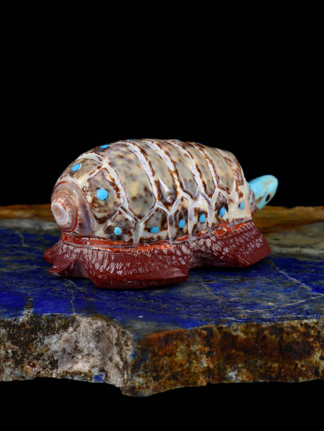 Shell Turtle Zuni Fetish - PuebloDirect.com