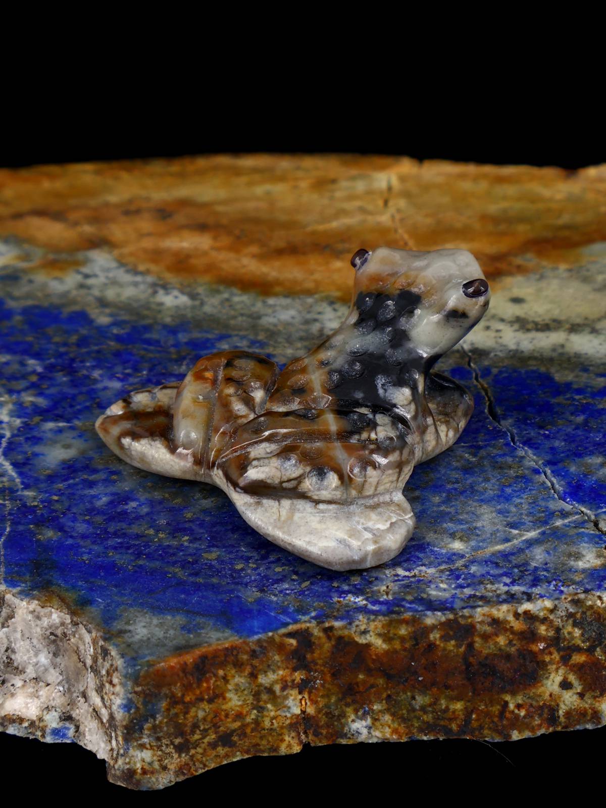 Picasso Marble Frog Zuni Fetish - PuebloDirect.com