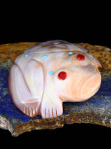 Pink Shell Frog Zuni Fetish - PuebloDirect.com
