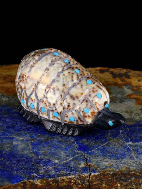 Shell Turtle Zuni Fetish - PuebloDirect.com