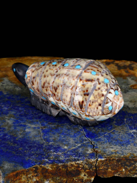 Shell Turtle Zuni Fetish - PuebloDirect.com