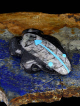 Fossilized Orthoceras Frog Zuni Fetish - PuebloDirect.com