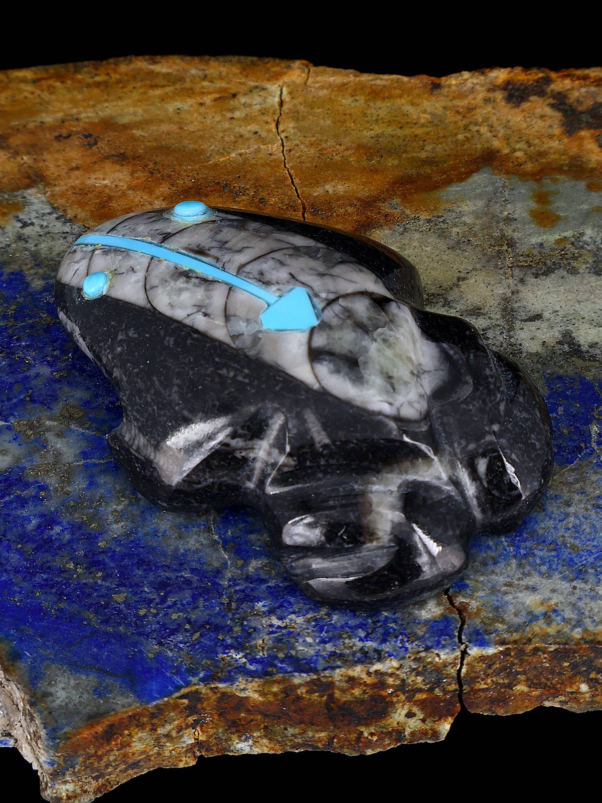 Fossilized Orthoceras Frog Zuni Fetish - PuebloDirect.com