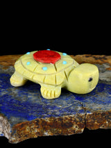 Serpentine Turtle Zuni Fetish - PuebloDirect.com