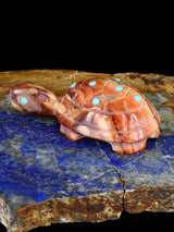 Rolling Hills Dolomite Turtle Zuni Fetish - PuebloDirect.com