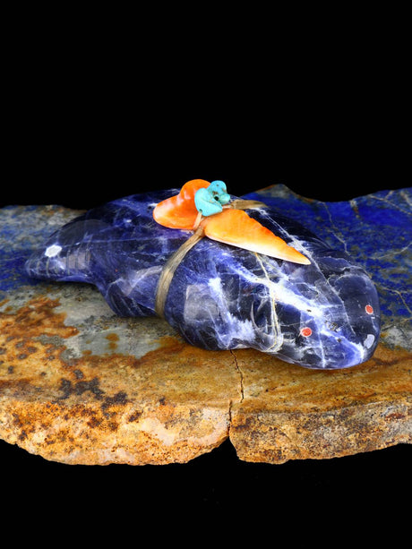 Sodalite Badger Zuni Fetish - PuebloDirect.com