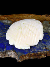 Shell Badger Navajo Carving - PuebloDirect.com
