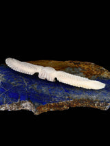 Antler Eagle Zuni Fetish - PuebloDirect.com