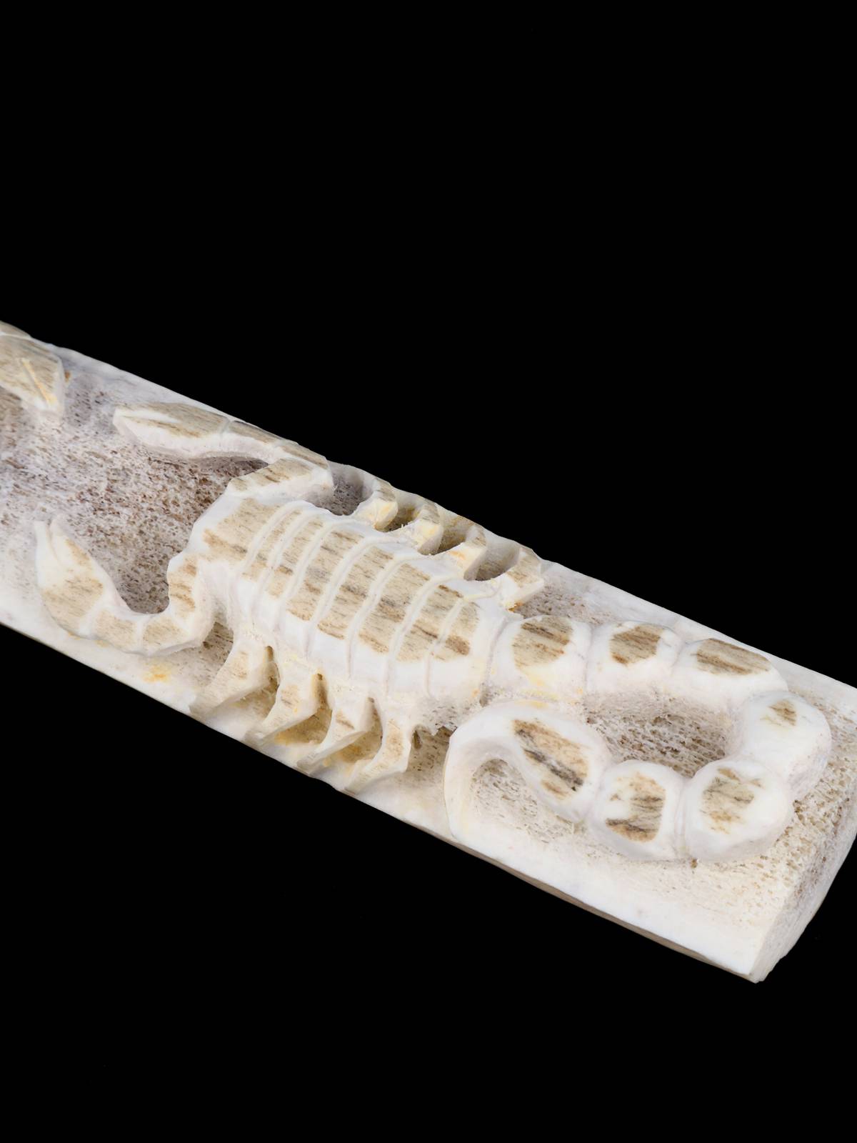 Antler Scorpions Zuni Fetish - PuebloDirect.com