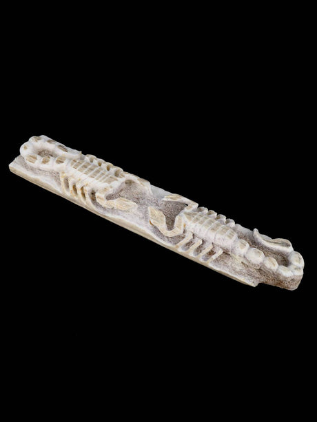Antler Scorpions Zuni Fetish - PuebloDirect.com