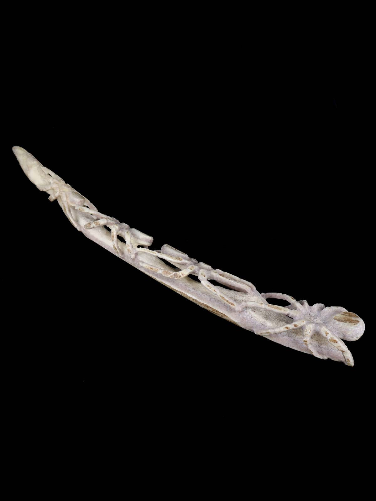 Antler Spiders Zuni Fetish - PuebloDirect.com