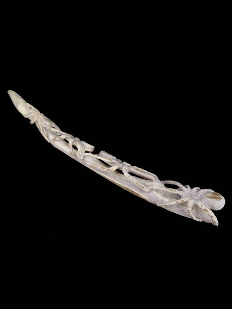 Antler Spiders Zuni Fetish - PuebloDirect.com