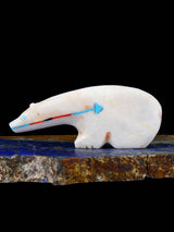 White Marble Bear Zuni Fetish