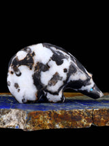 Black and White Marble Bear Zuni Fetish