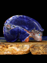 Sodalite Bear Zuni Fetish