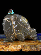 Fossil Stone Bear Zuni Fetish