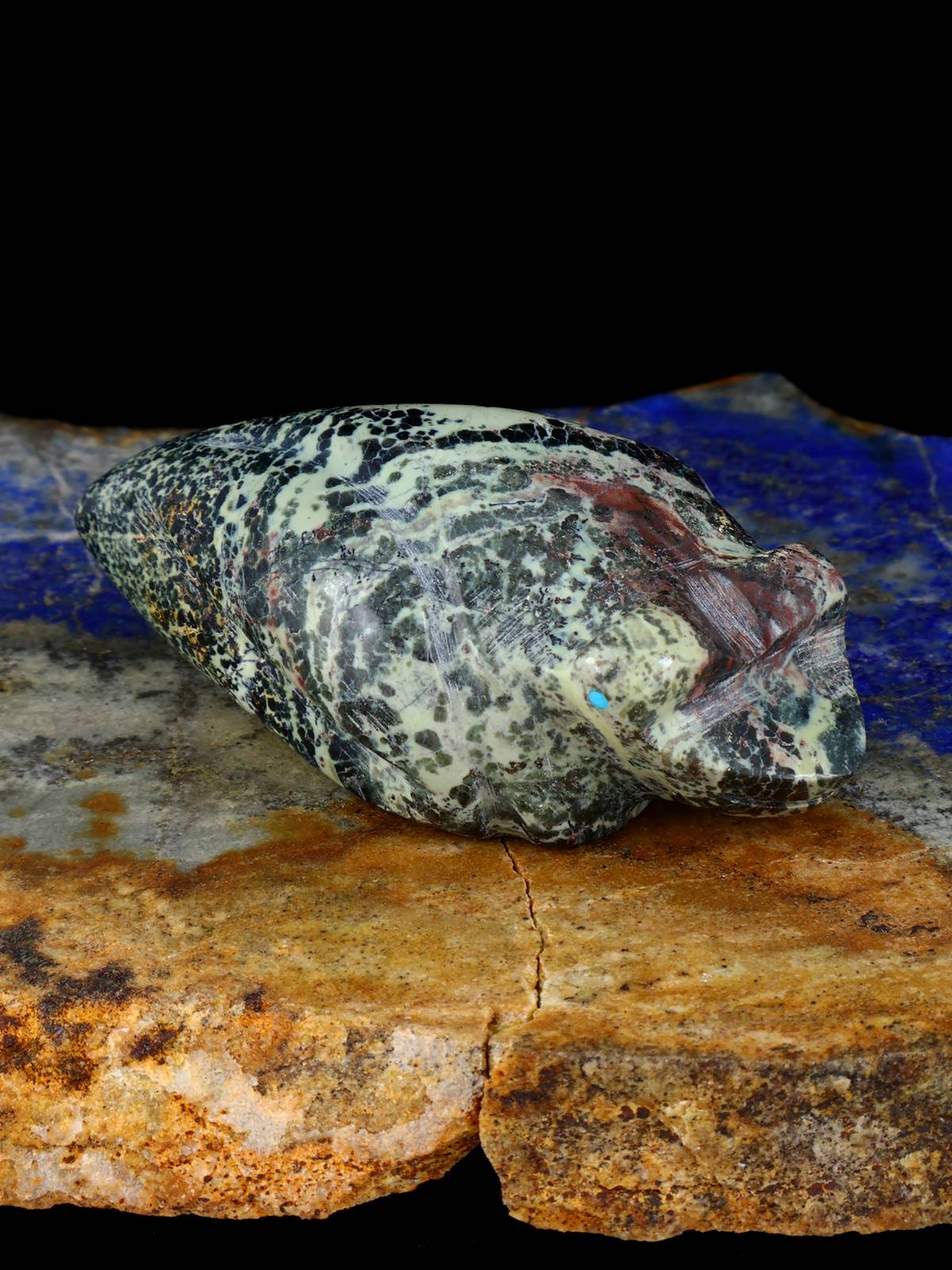 Serpentine Frog Zuni Fetish - PuebloDirect.com