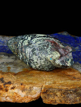 Serpentine Frog Zuni Fetish
