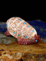 Shell Turtle Zuni Fetish