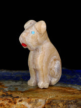 Onyx Dog Zuni Fetish - PuebloDirect.com