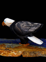Black Jet Eagle Zuni Fetish