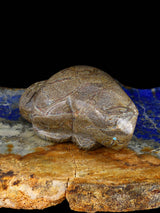 Picasso Marble Beaver Zuni Fetish - PuebloDirect.com