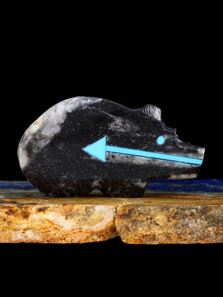 Fossilized Orthoceras Bear Zuni Fetish