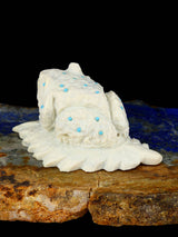 Zuni Fish Rock Frog Zuni Fetish