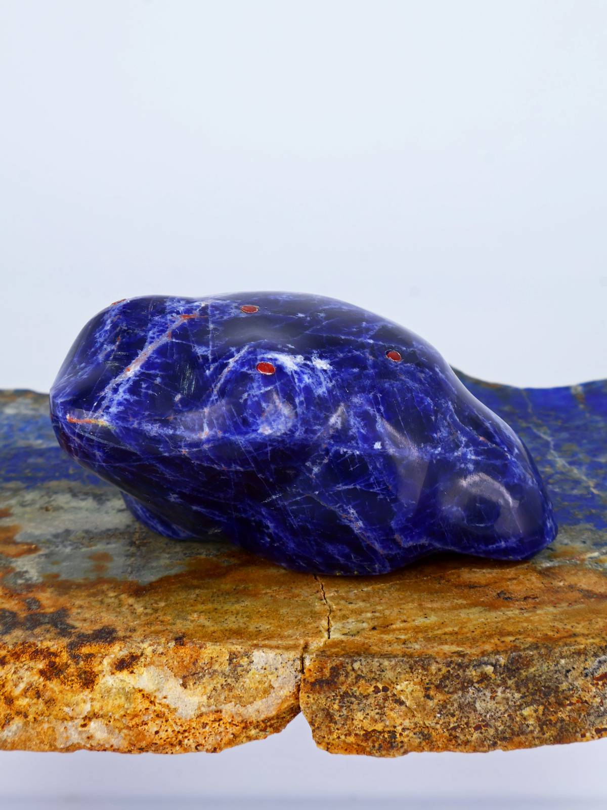 Sodalite Frog Zuni Fetish