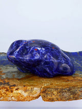Sodalite Frog Zuni Fetish