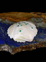 Shell Frog Navajo Carving - PuebloDirect.com
