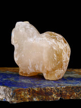 Honey Onyx Dog Zuni Fetish - PuebloDirect.com