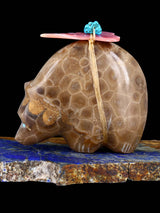 Fossil Stone Bear Zuni Fetish - PuebloDirect.com