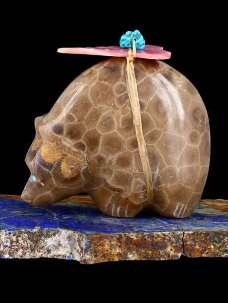 Fossil Stone Bear Zuni Fetish - PuebloDirect.com