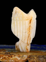 Onyx Eagle Zuni Fetish - PuebloDirect.com