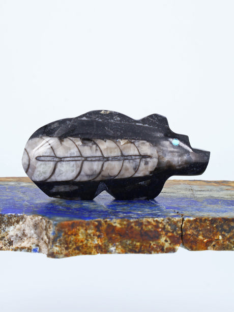 Fossilized Orthoceras Bear Zuni Fetish