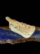 Serpentine Lizard Zuni Fetish