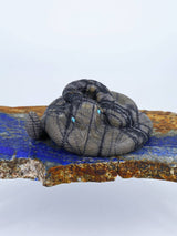 Picasso Marble Snake Zuni Fetish