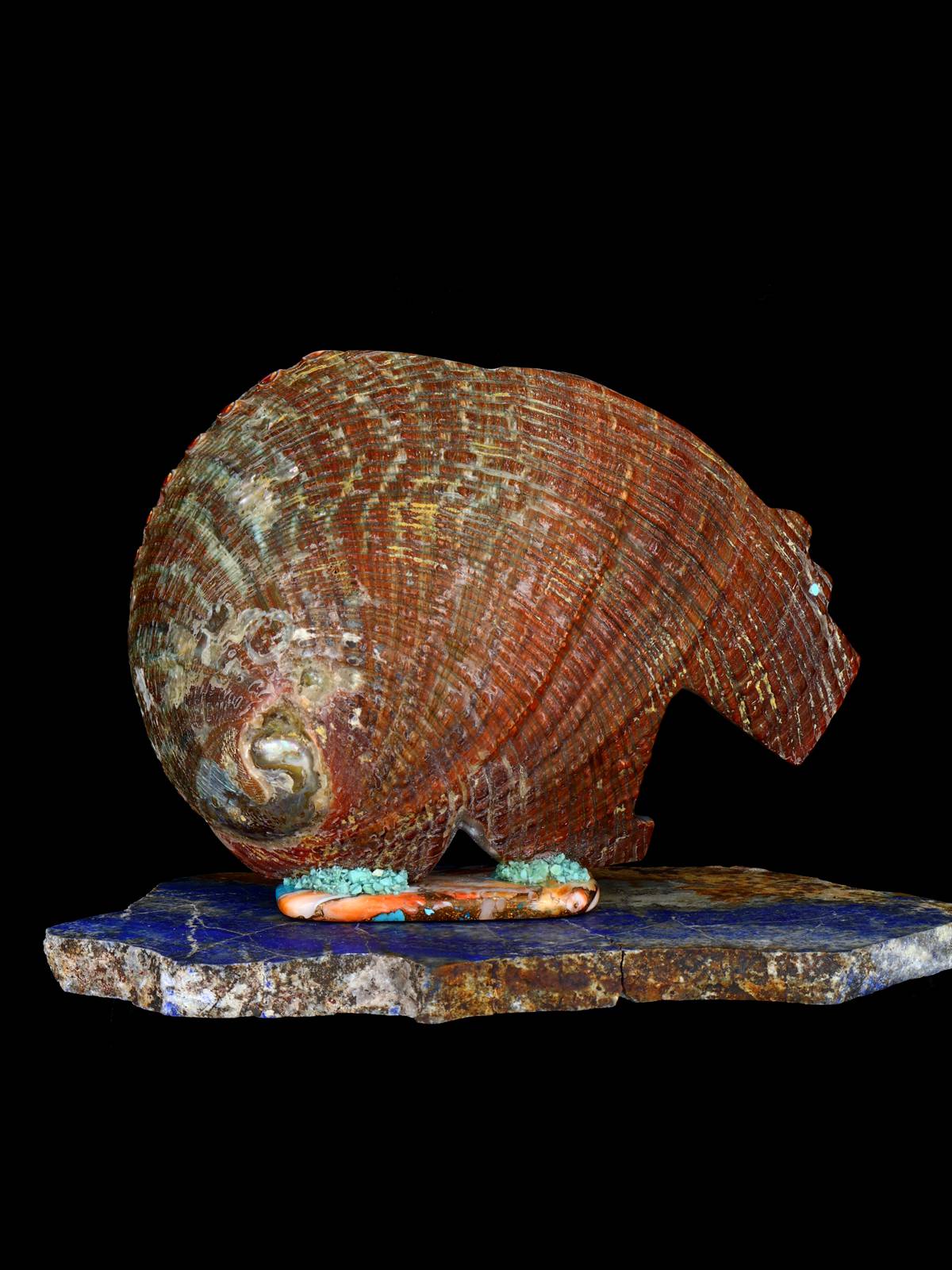 Large Abalone Bear Zuni Fetish