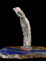 Abalone Maiden Zuni Fetish