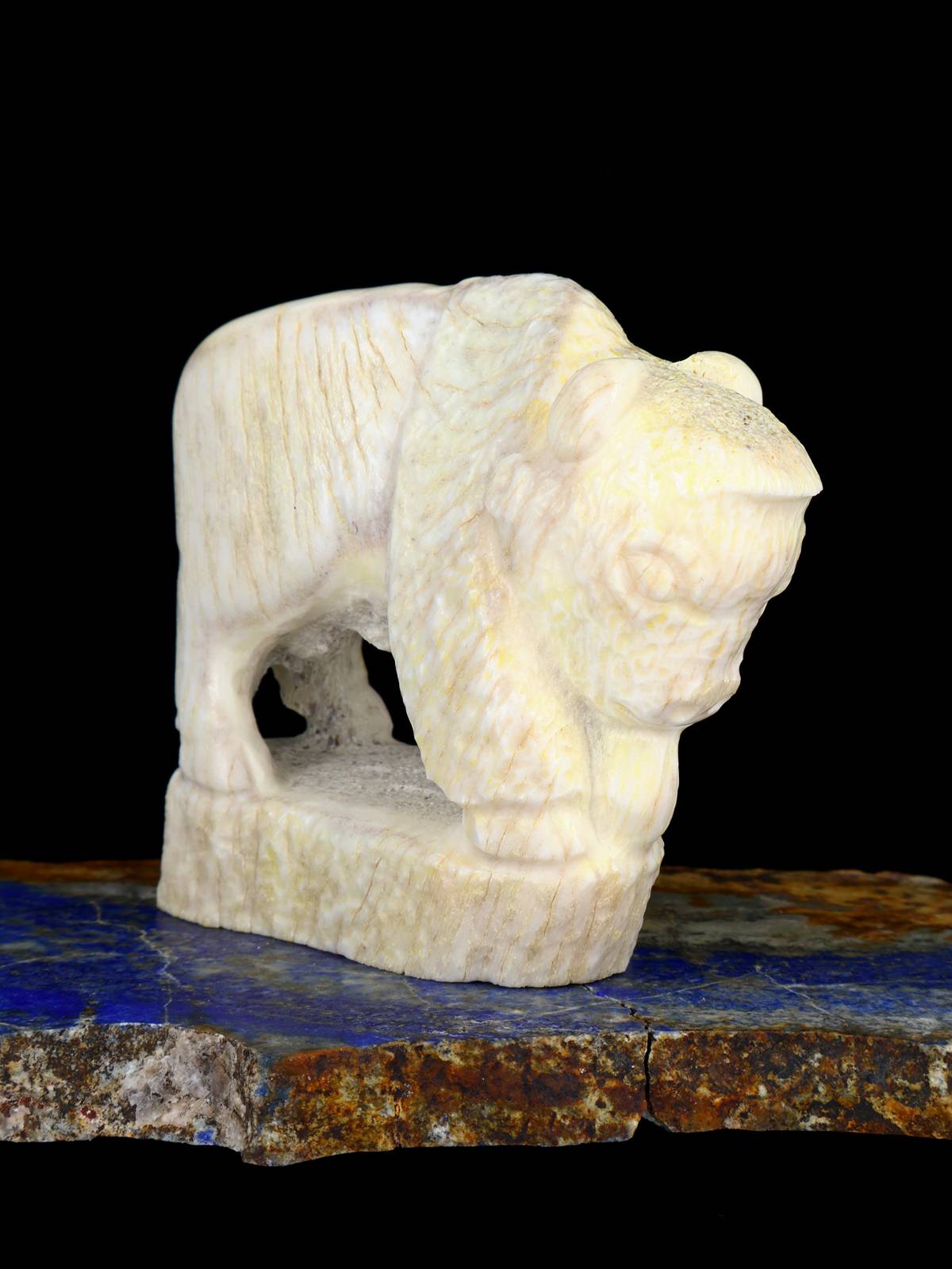 Antler Buffalo Zuni Fetish