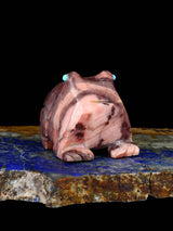 Watermelon Serpentine Frog Zuni Fetish