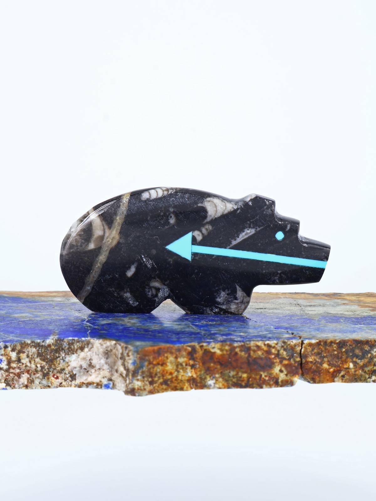 Fossilized Orthoceras Bear Zuni Fetish