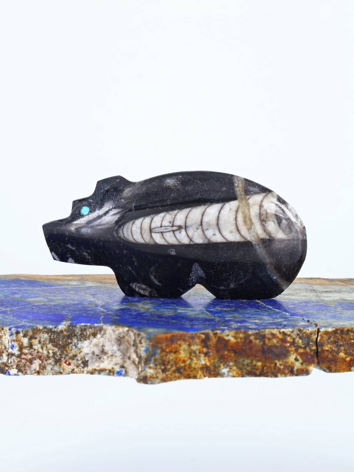 Fossilized Orthoceras Bear Zuni Fetish