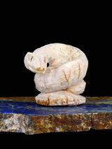 Fétiche de Zuni d'araignée de bois