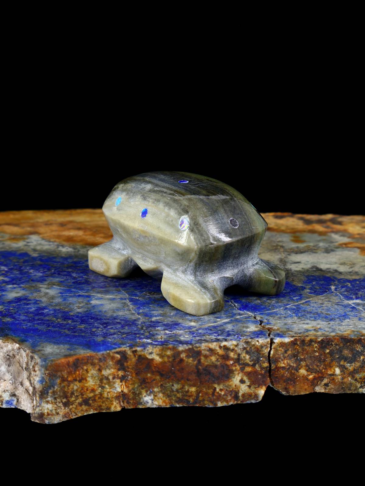 Serpentine Shy Turtle Zuni Fetish – PuebloDirect.com