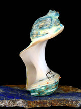 Green Snail Shell Pueblo Bear Zuni Fetish